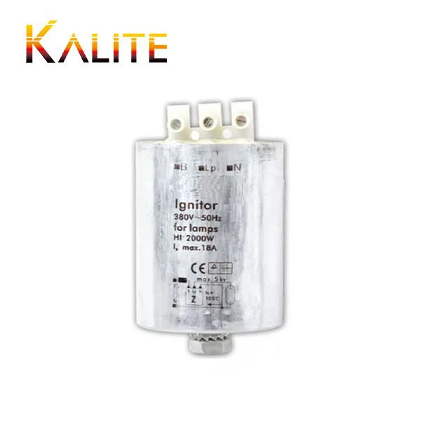 China Ignitor manufacturers