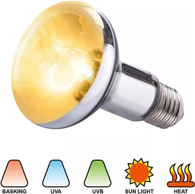 R95 UV Reptile lámpa izzó 80W